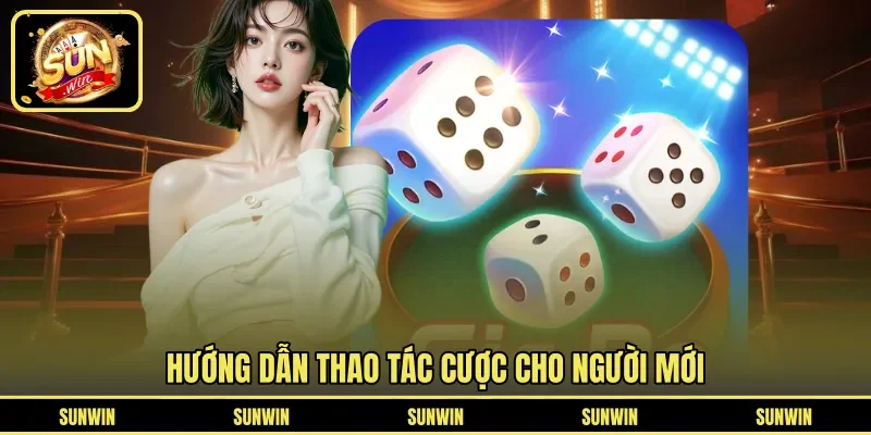 Hướng dẫn thao tác cược cho người mới